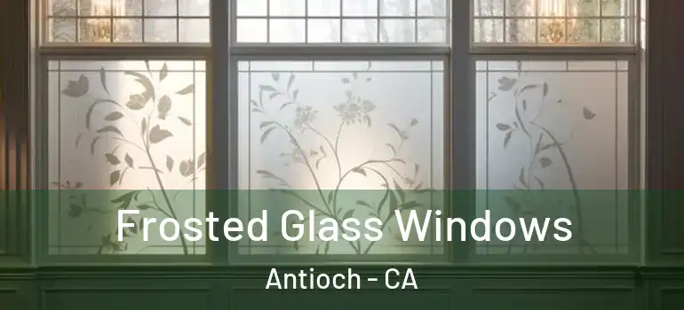  Frosted Glass Windows Antioch - CA