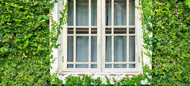 Garden Window Repair Near Me in Antioch, CA