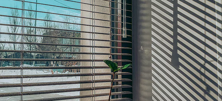 Commercial Window Blinds in Antioch, CA