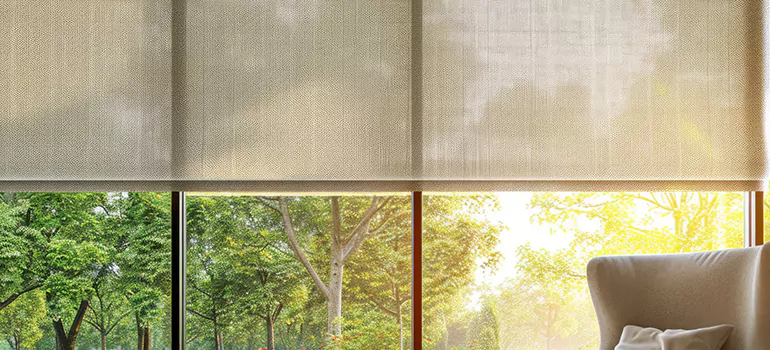 Custom Window Shades in Antioch, CA