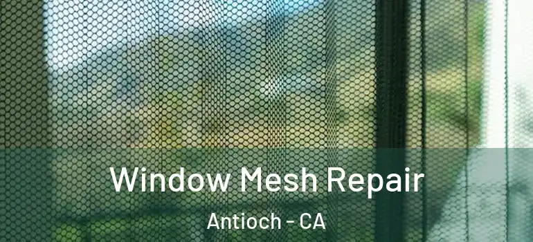  Window Mesh Repair Antioch - CA