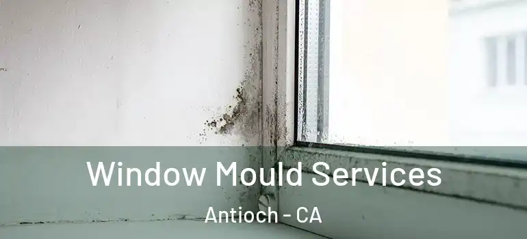  Window Mould Services Antioch - CA