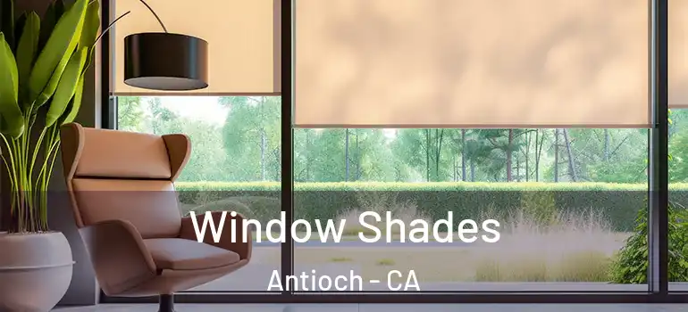 Window Shades Antioch - CA